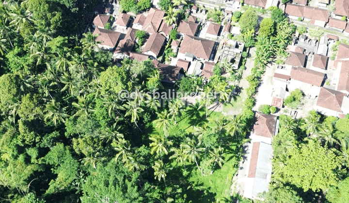 For Sale Leasehold Land With Los River At Pejeng Ubud
