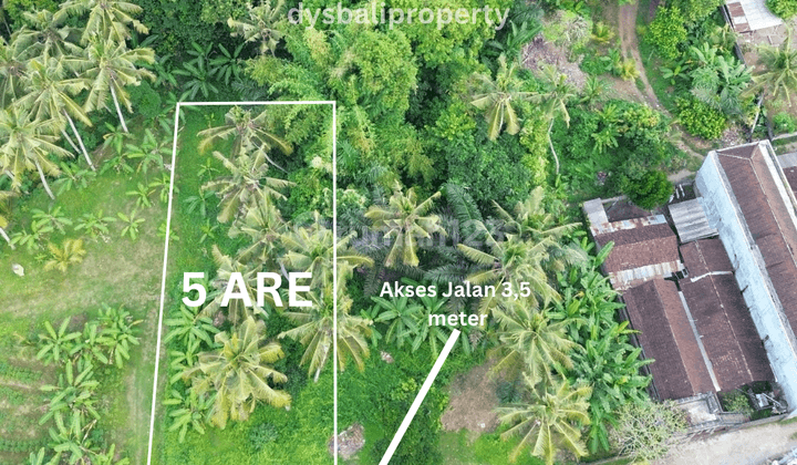 For Sale Leasehold Land Premium Location At Mawang Lodtunduh , Ubud 1