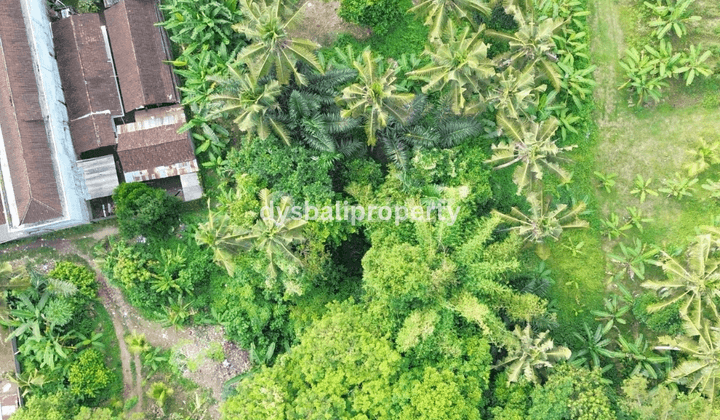 For Sale Leasehold Land Premium Location At Mawang Lodtunduh , Ubud 2