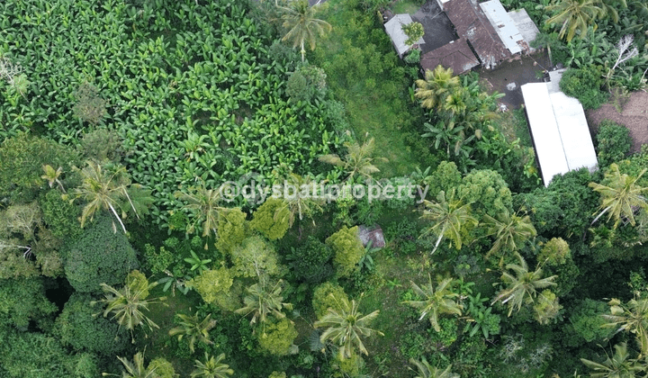 For Sale Freehold Land At Penyabang Payangan 2