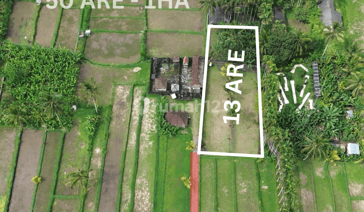 For Sale Freehold Land Near Awan Biru Villa At Payangan 2