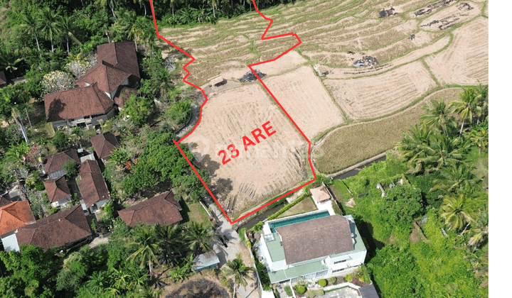 For Sale Freehold Land With View Ricefield And Jungle At Silungan Lodtunduh 1