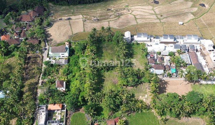 For Sale Freehold Land With View Ricefield And Jungle At Silungan Lodtunduh 2