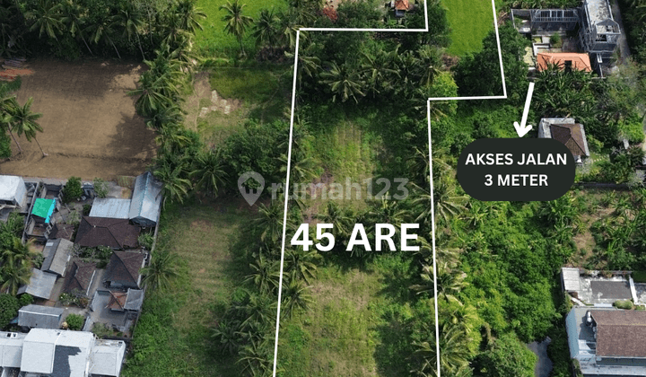 For Sale Freehold Land With Ricefield View At Silungan Lodtunduh 1