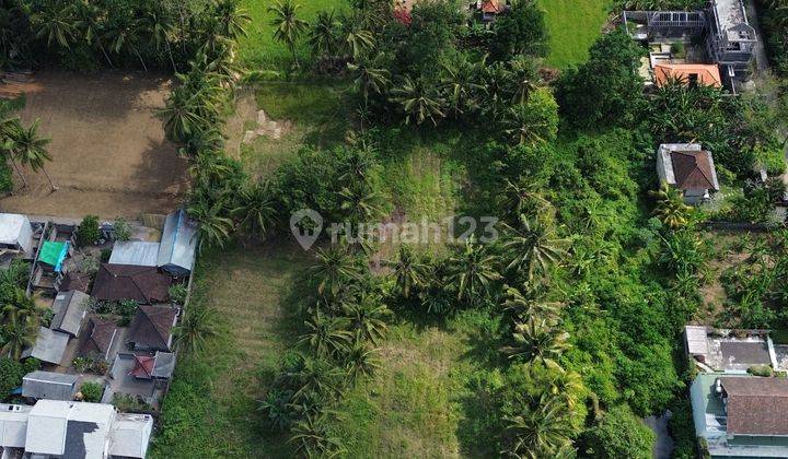 For Sale Freehold Land With Ricefield View At Silungan Lodtunduh 2