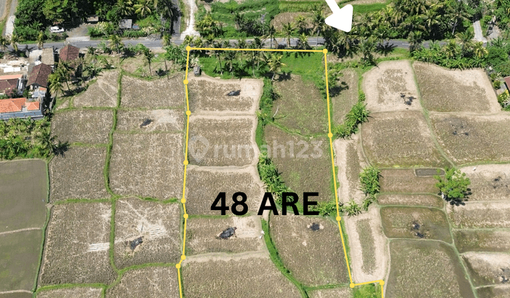 For Sale Leasehold Land In Complex Private Villa At Mas Ubud 1