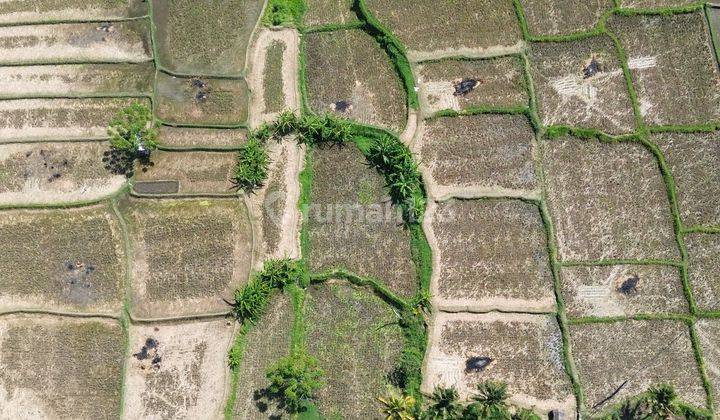 For Sale Leasehold Land In Complex Private Villa At Mas Ubud 2