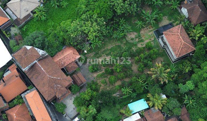 For Sale Freehold Land Near Ubud Centre And Bebek Tepi Sawah Restaurants 2