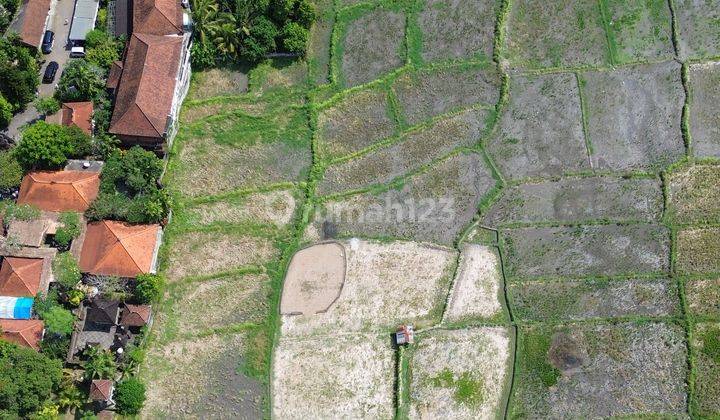 For Sale Leasehold Land With Ricefield View At Mas Ubud 2