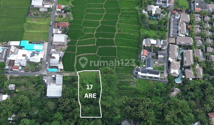 For Sale Freehold Land With Ricefield View And Lost River 1