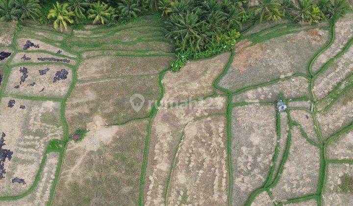 For Sale Leasehold Land Near Wyah Restaurants At Keliki Ubud 2