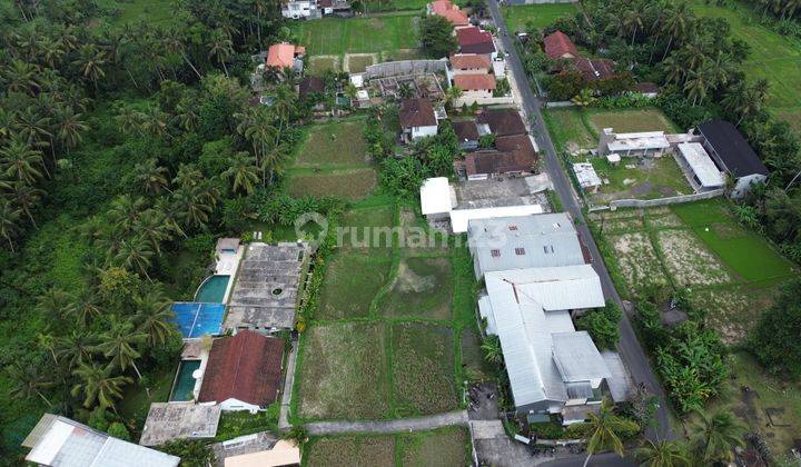 For Sale Rare Land At Tirta Tawar Jungjungan, Ubud Near Ubud Centre 2