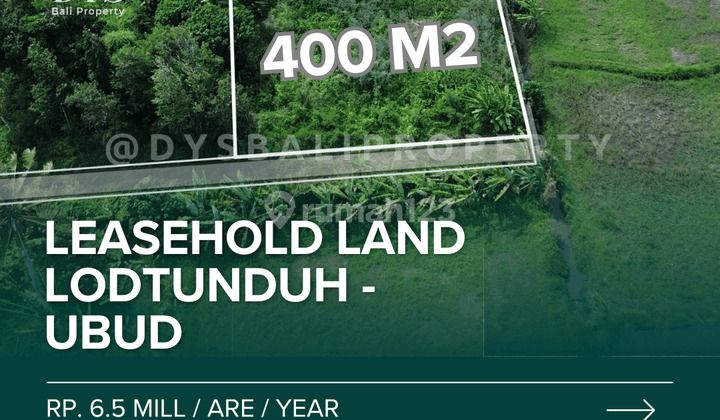 For Sale Rare Land , Leasehold land small size with ricefield view at Lodtunduh - Ubud 2