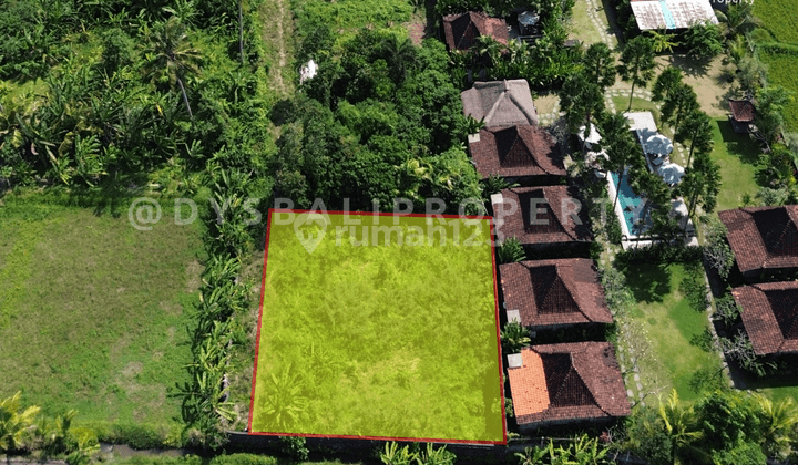 For Sale Rare Land , Leasehold land small size with ricefield view at Lodtunduh - Ubud 1