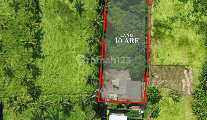 For Sale Leasehold Land at Lodtunduh - Ubud 1