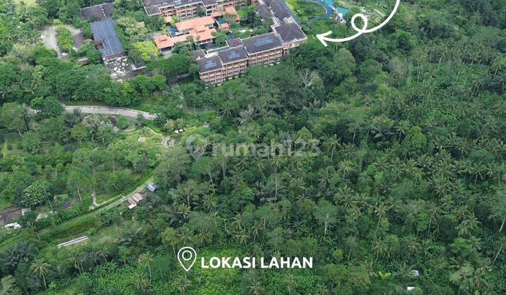 For Sale Rare Land At Puhu Payangan Near Padma Resort Ubud 2