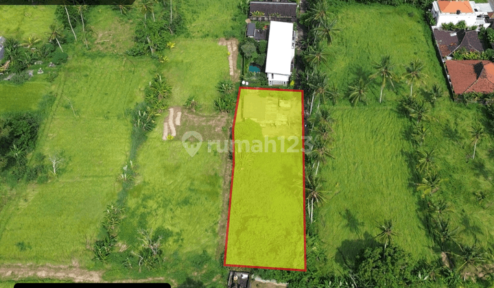 For Sale Leasehold Land at Lodtunduh - Ubud 2