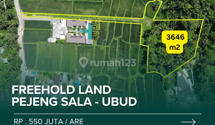 For Sale Freehold Land At Pejeng Sala Ubud 1