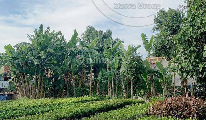 Dijual Tanah Luas Daerah Kembangan Jakarta Barat 5
