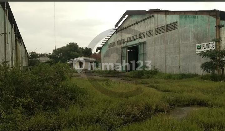Dijual Gudang Dan Pabrik Cikarang Dijual Gudang Dan Pabrik Cikarang