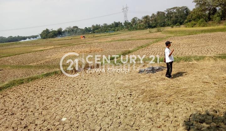 Dijual Tanah Darat Dan Sawah Kawasan Pamarayan Serang Dijual Tanah Darat Dan Sawah Kawasan Pamarayan Serang