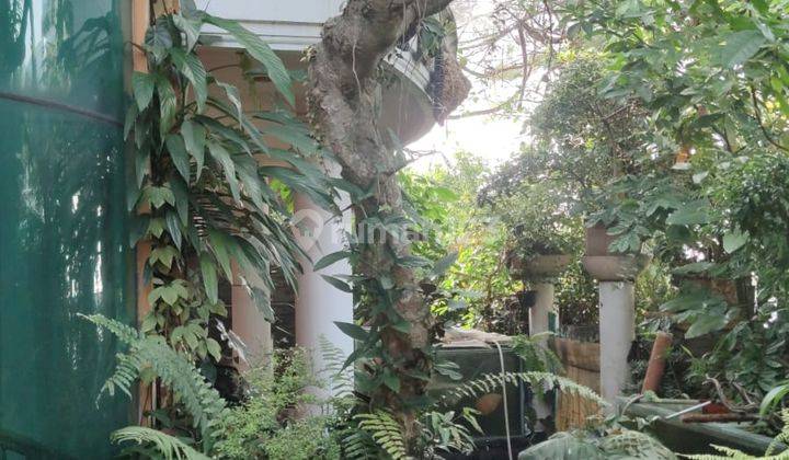 Dijual Rumah Di Bogor Utara, Bogor Ot66  13