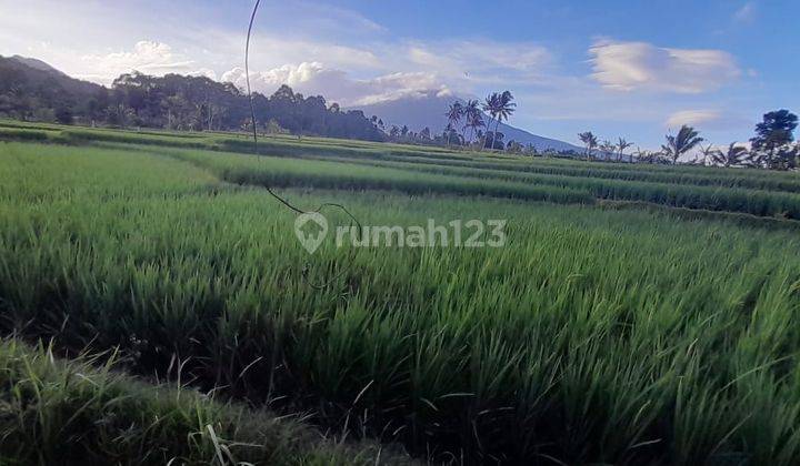  Dijual Tanah Kavling Di Cianjur Bo86 1