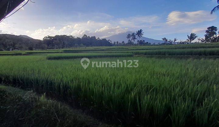  Dijual Tanah Kavling Di Cianjur Bo86 2