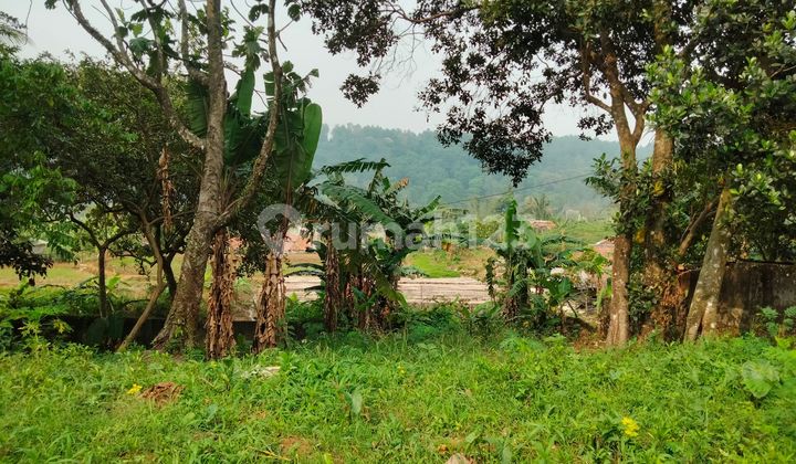 DIJUAL TANAH KAVLING PREMIUM MURAH DEKAT TAMAN BUDAYA SENTUL CITY DIJUAL TANAH KAVLING PREMIUM MURAH DEKAT TAMAN BUDAYA SENTUL CITY