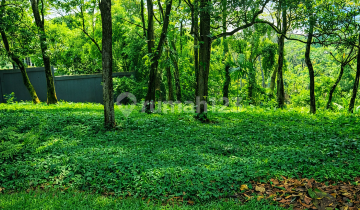 Dijual Tanah Premium Bgh Bukit Golf Hijau Sentul City Ssr982 Dijual Tanah Premium Bgh Bukit Golf Hijau Sentul City Ssr982