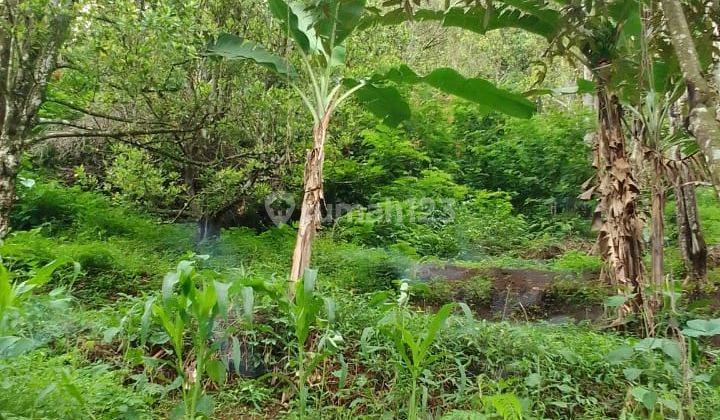 Jual Tanah Daerah Cianjur Bandung 1