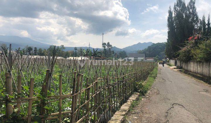 Tanah Strategis Pinggir Jalan Sebrang The Lodge Maribaya Lembang  2