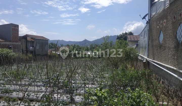 Jual Tanah Strategis, Nyaman, Dan Asri Maribaya Lembang 1