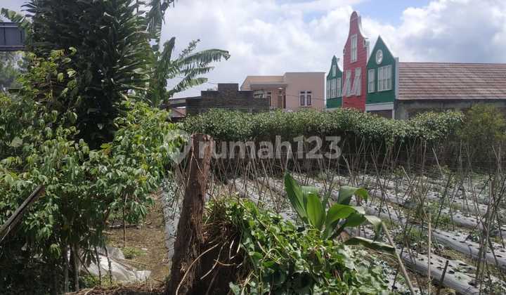 Jual Tanah Strategis, Nyaman, Dan Asri Maribaya Lembang 2