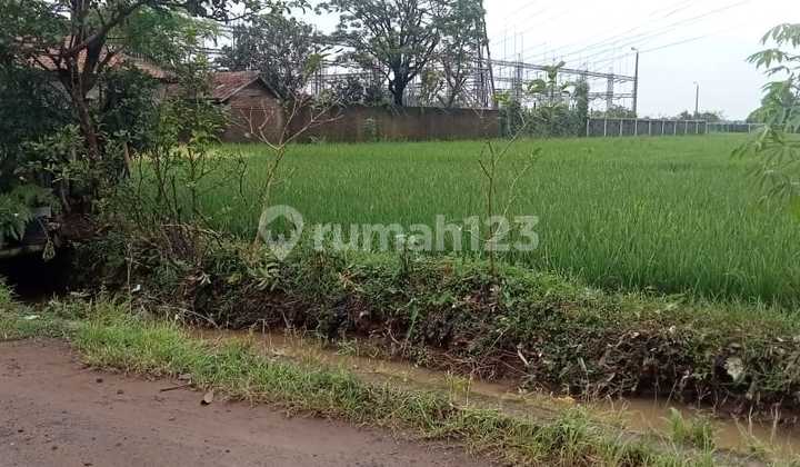 Dijual Tanah Sawah Strategis Tanjungsari Sumedang