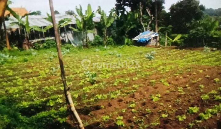 Dijual Tanah Cocok Buat Berkebun Parongpong Cimahi 1