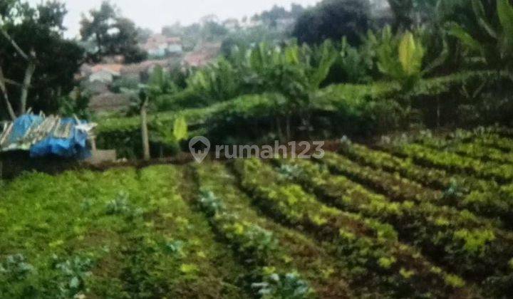 Dijual Tanah Cocok Buat Berkebun Parongpong Cimahi 3