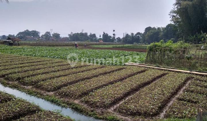 Dijual Tanah Setrategis Daerah Salamanja Soreang Bandung 2