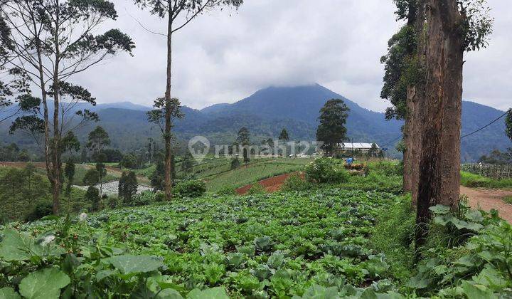 Dijual Tanah Setrategis Margamulya Pangalengan 1