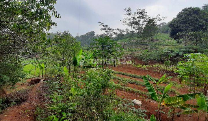 Jual Tanah Strategis Jalan Raya Cikalong Wetan Bandung 2