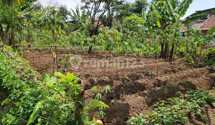 Selling Land in Galumpit Area, Garut