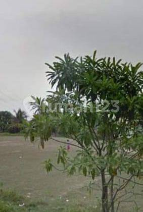 Jual Tanah Strategis Daerah Cikampek Jatiasih Karawang 2