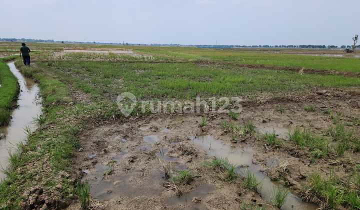 Jual Tanah Daerah Patokbeusi Tambakjati Subang