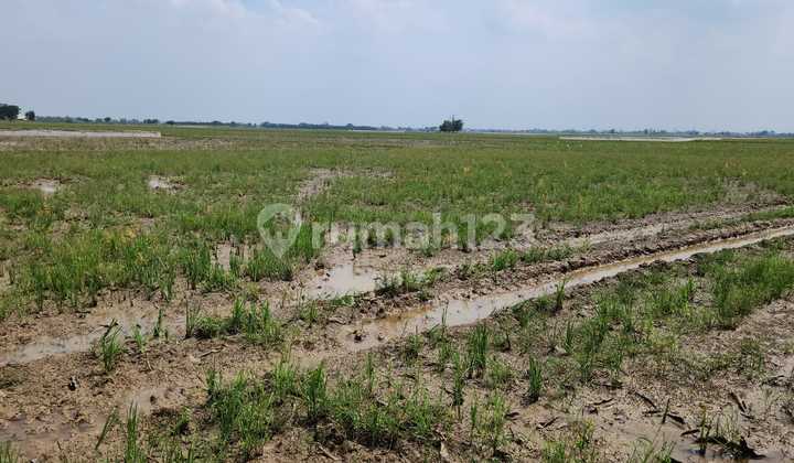 Jual Tanah Daerah Patokbeusi Tambakjati Subang