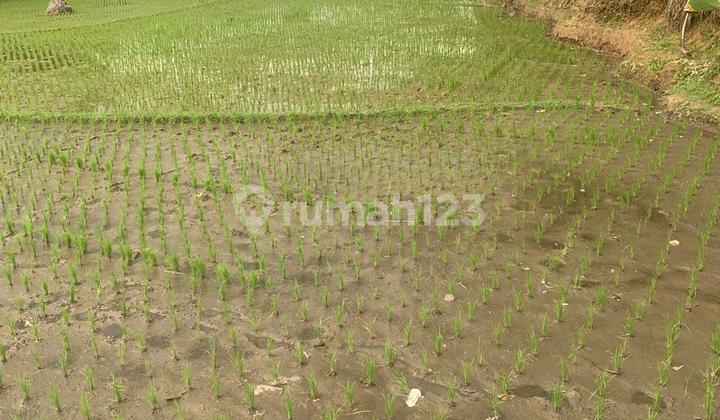 Jual Tanah Daerah Cililin Bandung