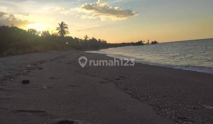 Tanah Komersil Di Sikka Flores Ntt, Cocok Utk Budidaya Perikanan 2