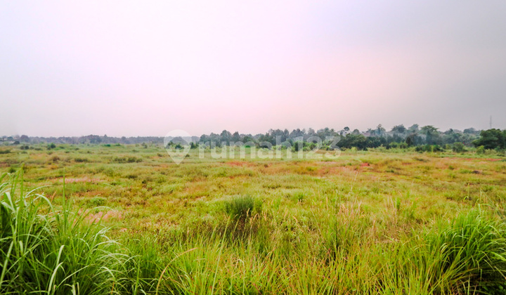 Tanah Luas Dekat Jalan Raya Bogor Cibinong, Karadenan & Cileungsi Tanah Luas Dekat Jalan Raya Bogor Cibinong, Karadenan & Cileungsi