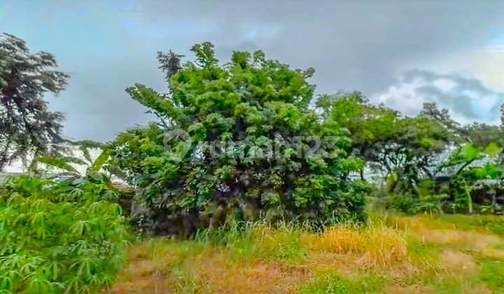 STRATEGIC COMMERCIAL LAND IN MAUK SEPATAN TANGERANG, NEAR THE AIRPORT STRATEGIC COMMERCIAL LAND IN MAUK SEPATAN TANGERANG, NEAR THE AIRPORT