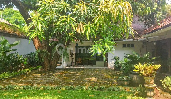 Classic Luxury House in Menteng near Kuningan & Thamrin 2