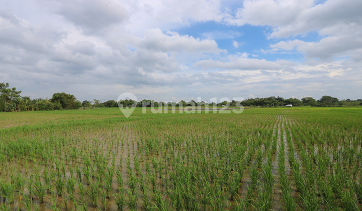 Tanah di Badak Anom, Sindang Jaya, Akses ke Suvarna Sutera Cikupa